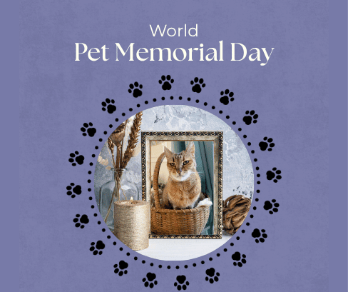 World Pet Memorial Day