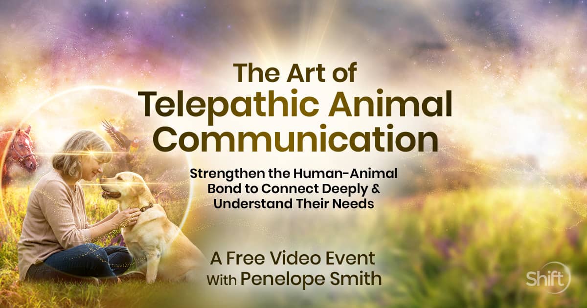 Art of Telepathic Animal Communication Banner