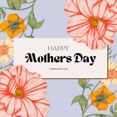 Happy Mother's Day