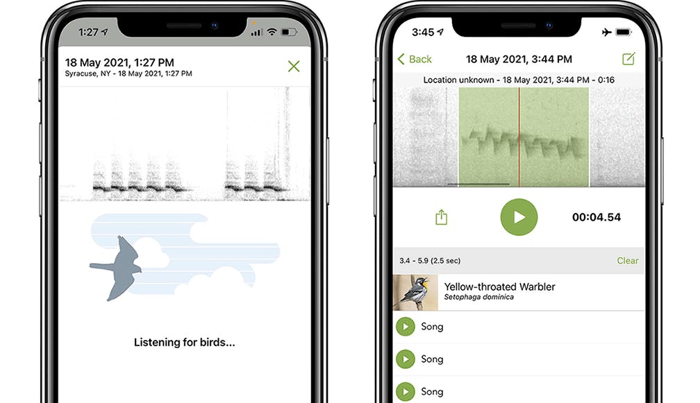 Two screenshots of the app Merlin showing visualizations of recordings of bird songs