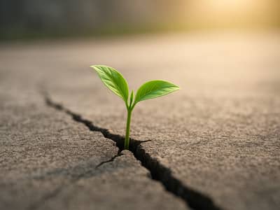 A sprout emerges from cracked concrete, representing growth.