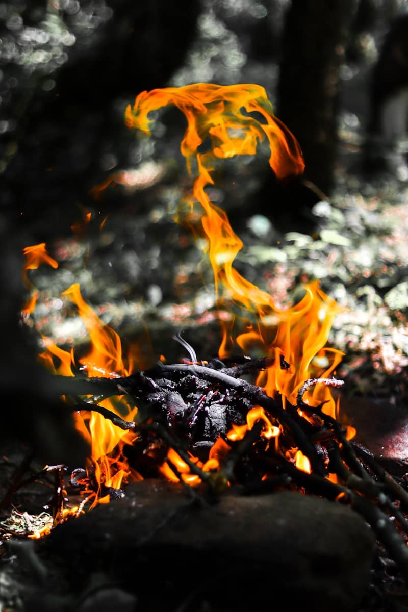 A bright campfire burns against a forest background.