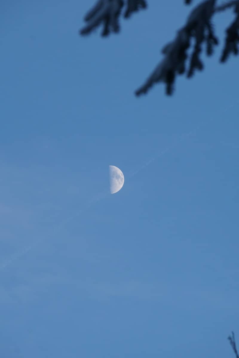 Half moon in a clear blue sky