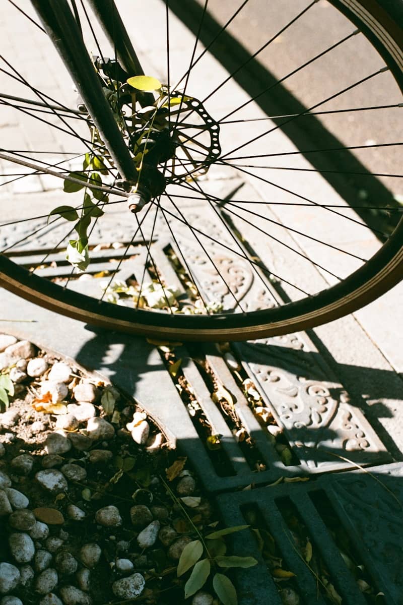 Bicycle wheel with disc brake over grate and scattered leaves.