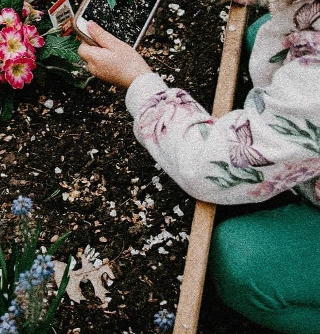 thumbnail placeholder