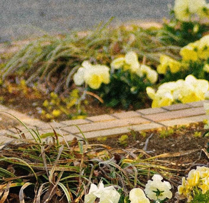 thumbnail placeholder