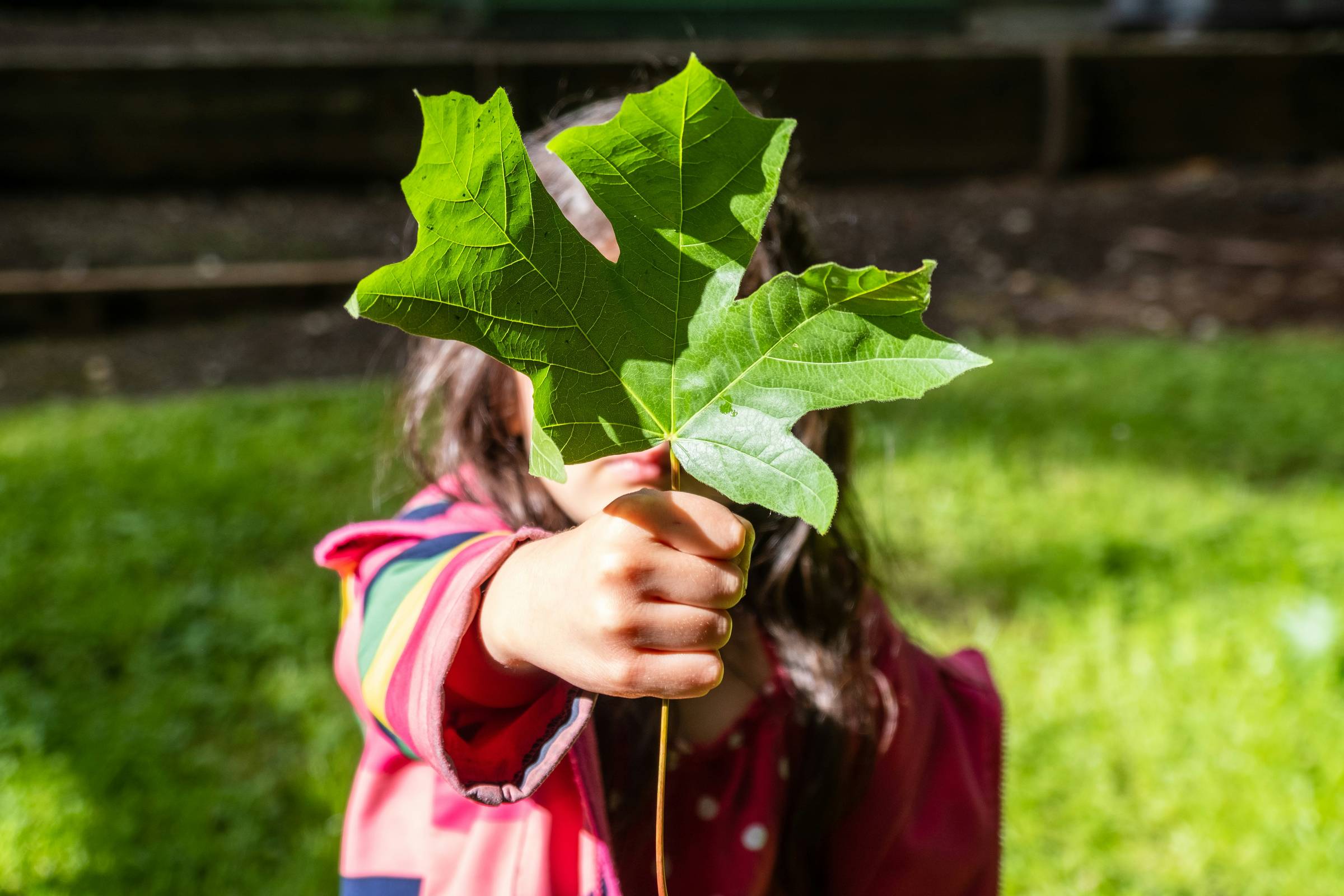 A child holds a leaf in front of her face