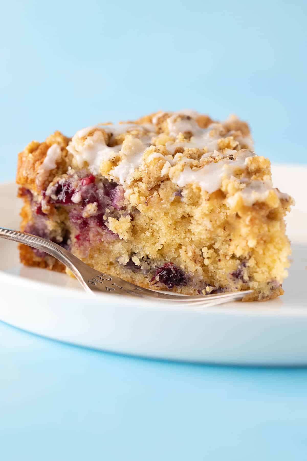 Blueberry Crumble Cake