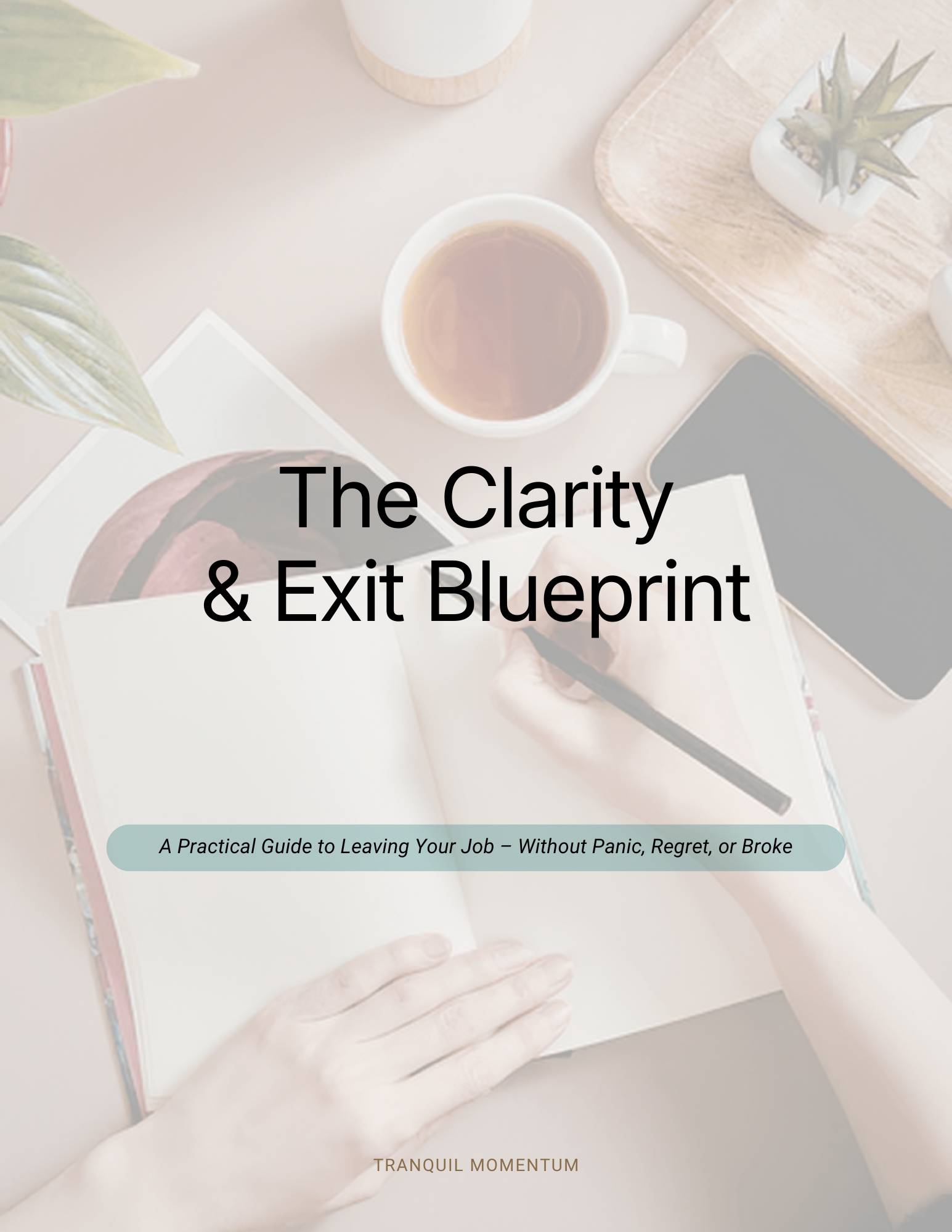 The Clarity & Exit Blueprint