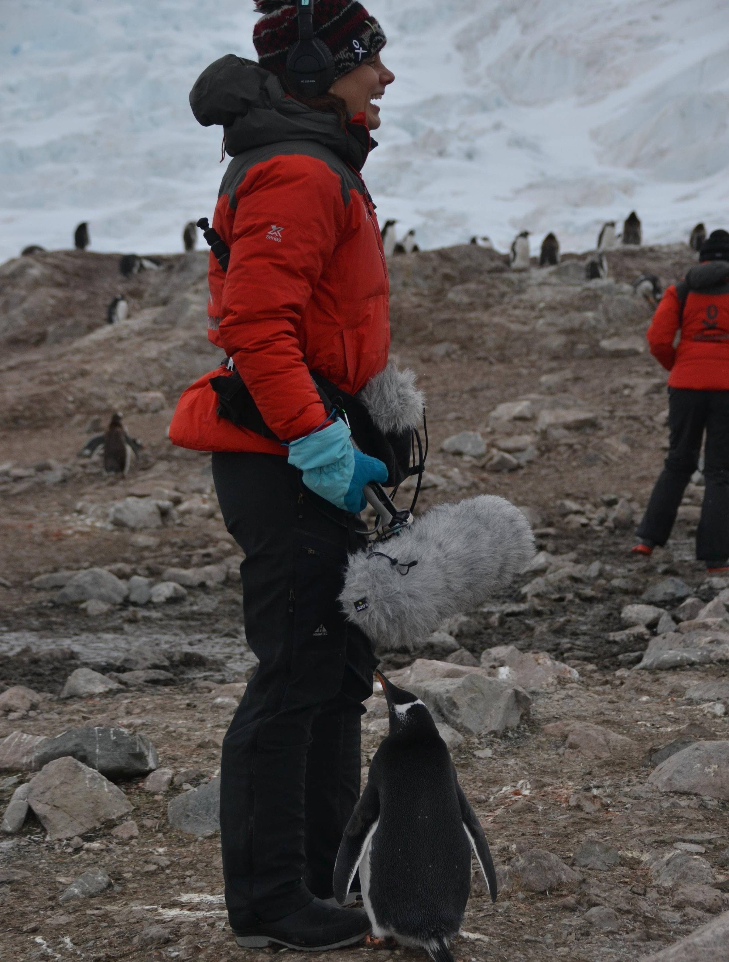 Penguin meets microphone