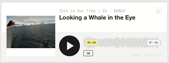 Audio Love - speaking to whales