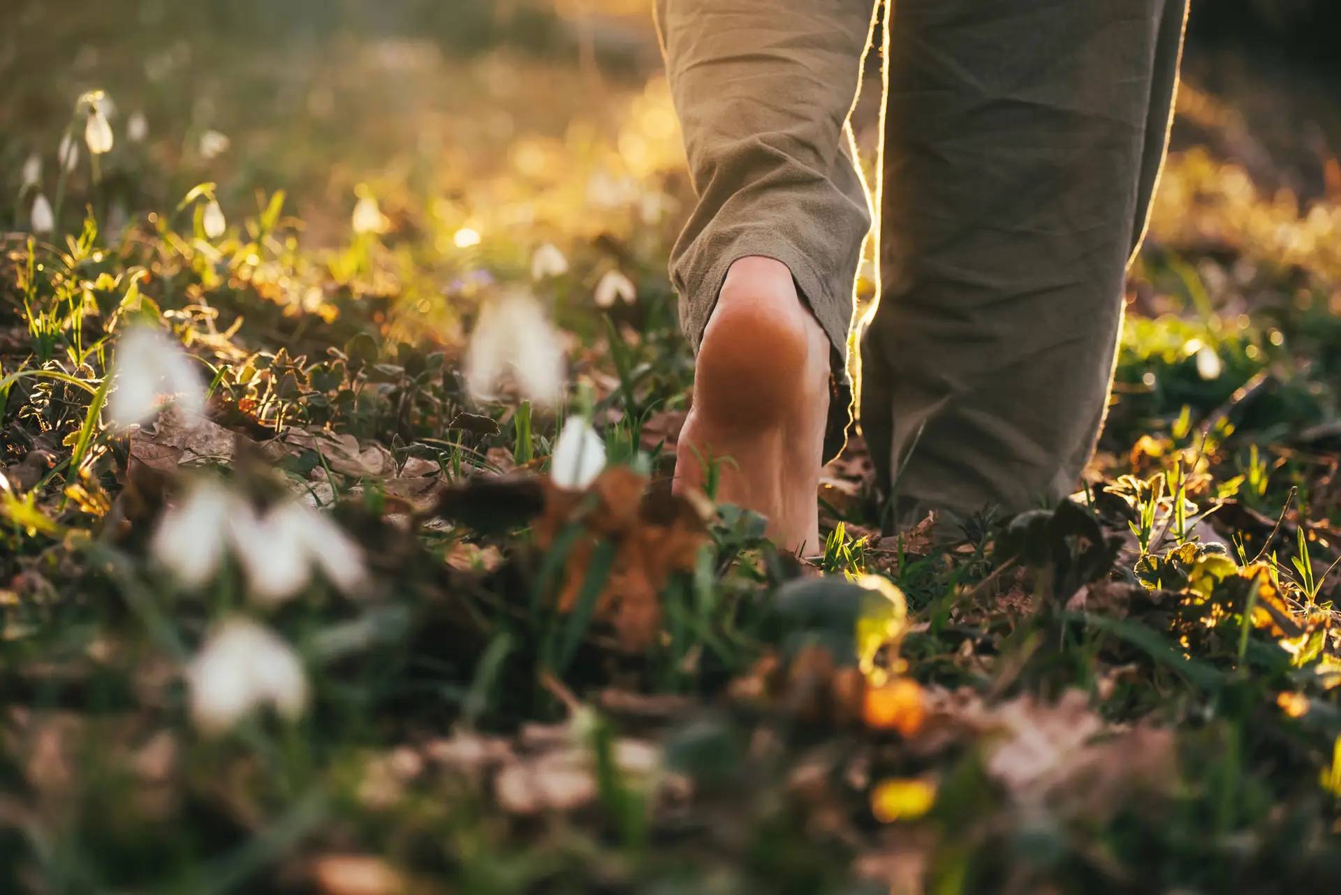 Close up of bare feet walking a path in the woods