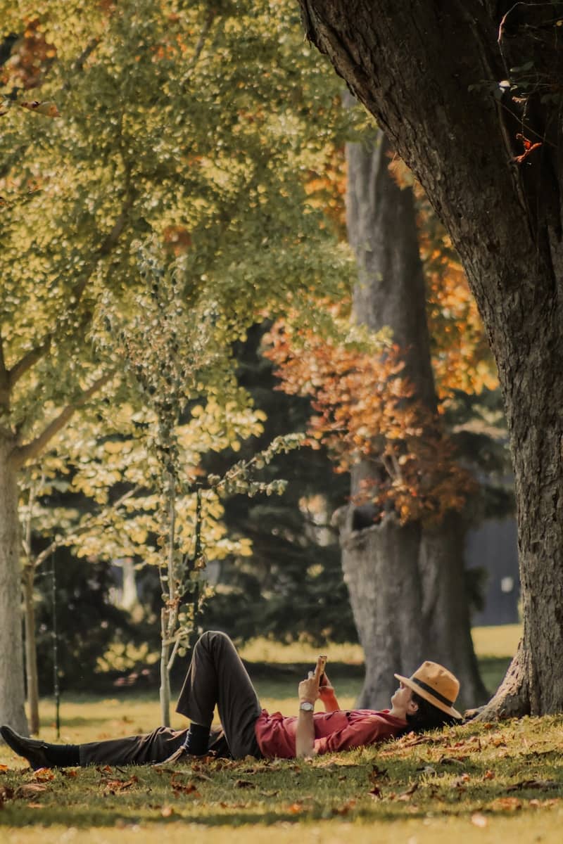 Person in hat relaxing under a tree with phone