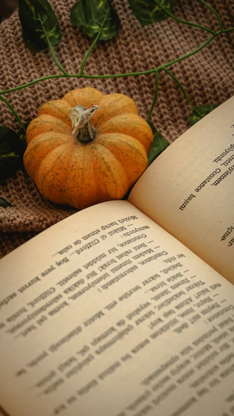 a pumpkin snuggling beside an open book