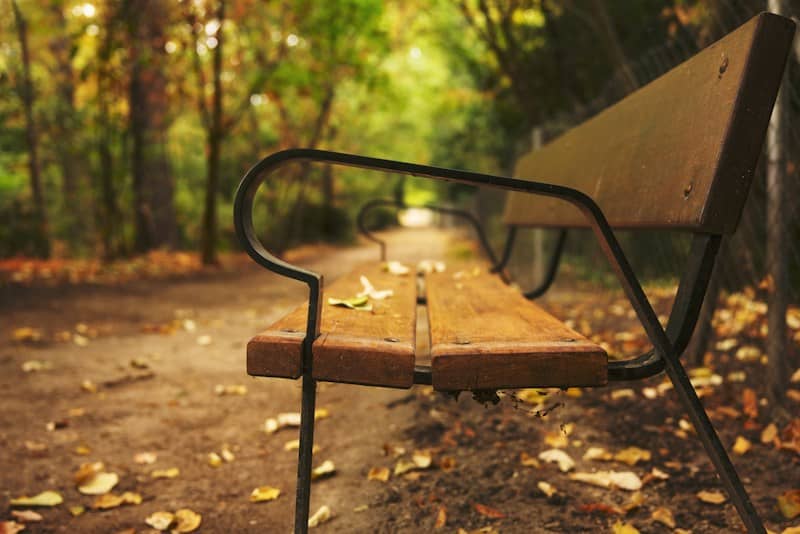 A wooden park bench with metal arms on a path covered in autumn leaves