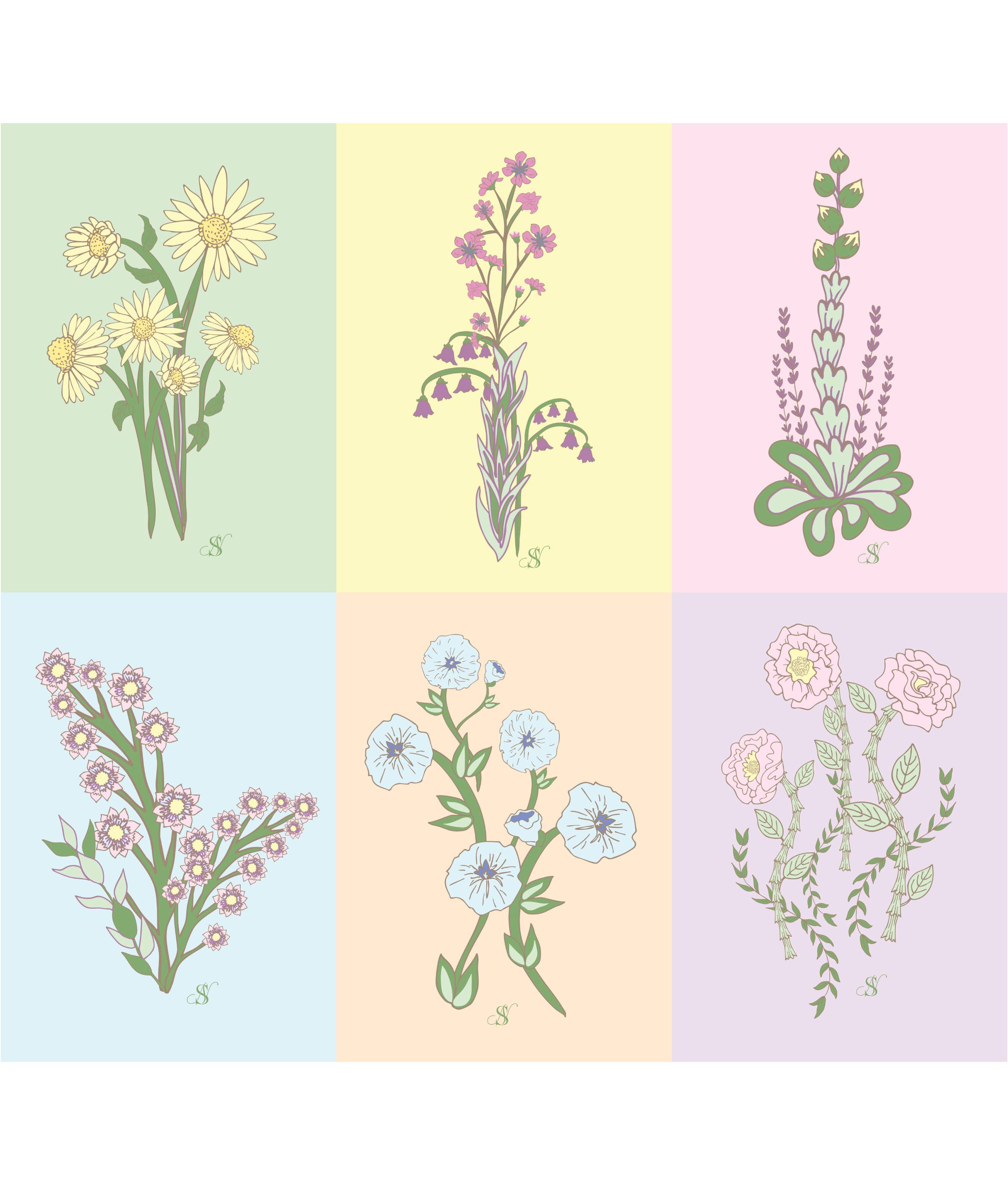 WildFlowers Card Collection