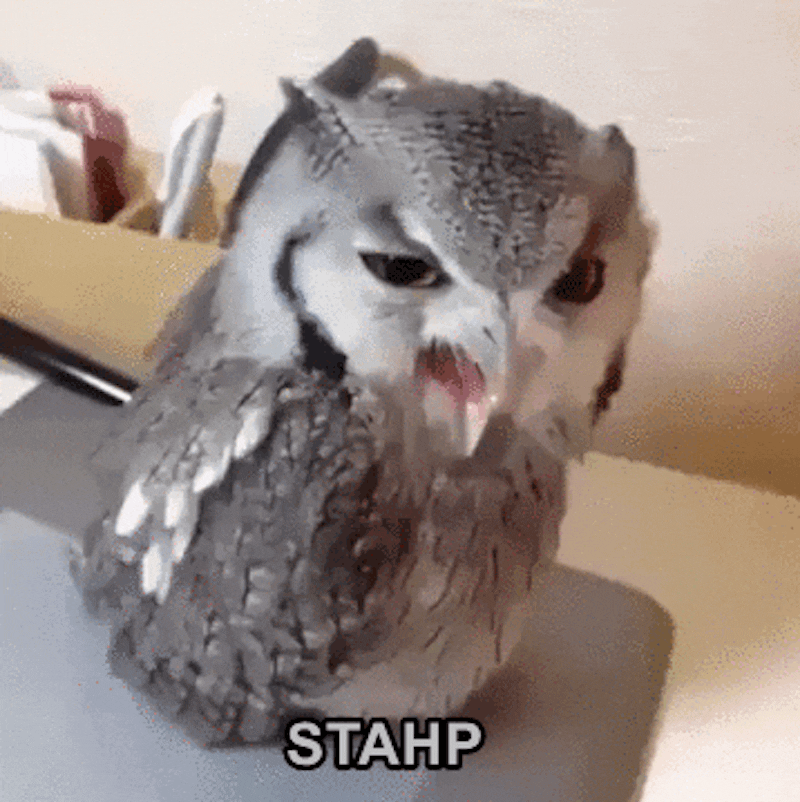 this owl orders you to stop
