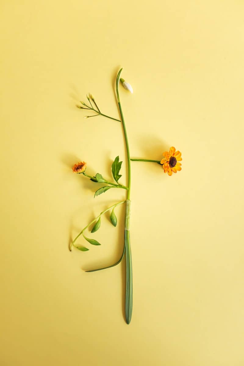 A delicate floral arrangement on a yellow background