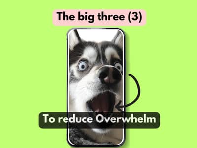 Husky, green background, the big 3 written with a pink background, and to reduce overwhelm written in white letter on a black background