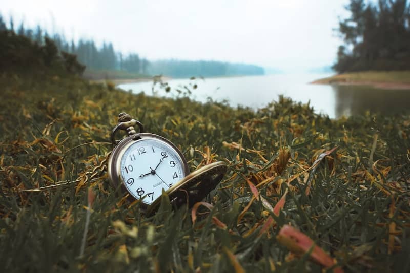 Pocket watch resting in grass by a lake.