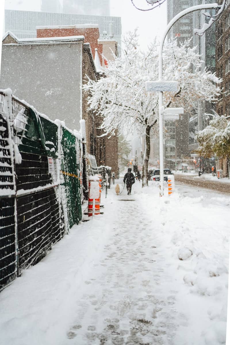 People walk on a snow-covered city sidewalk during snowfall.