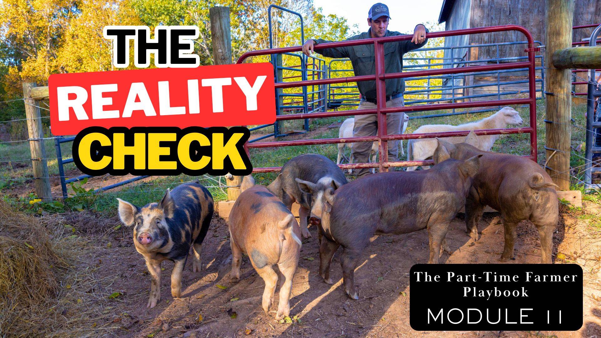 Farmer managing pasture-raised pigs at a gate on a small family farm — The Reality Check, Module 11 of the Part-Time Farmer Playbook on building a profitable farm business