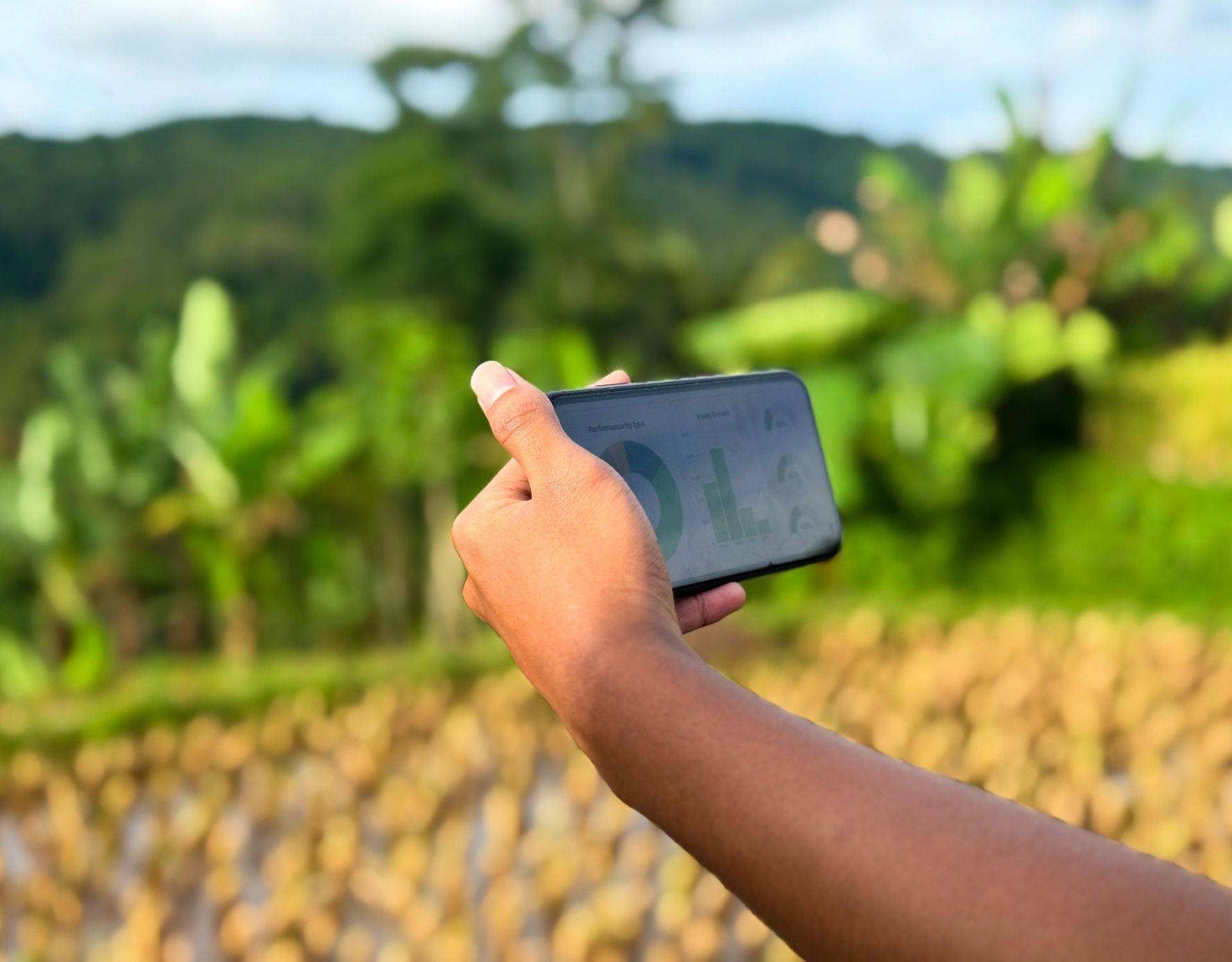 Small farm direct-to-consumer social media marketing tips for farmers