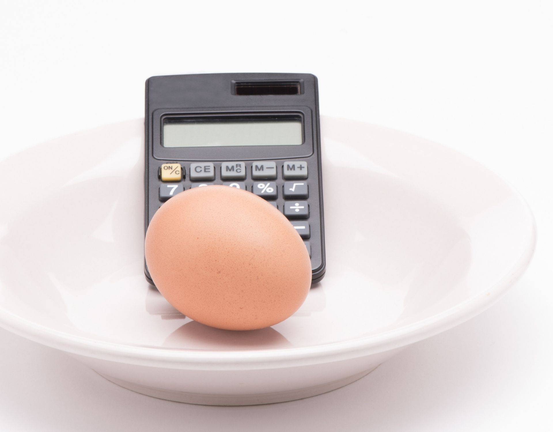 Farm fresh eggs profit margin calculation - tracking true costs versus revenue for small farm businesses