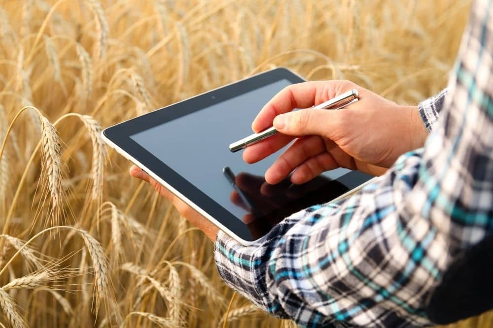 Farmer analyzing data to convey farm business vs hobby