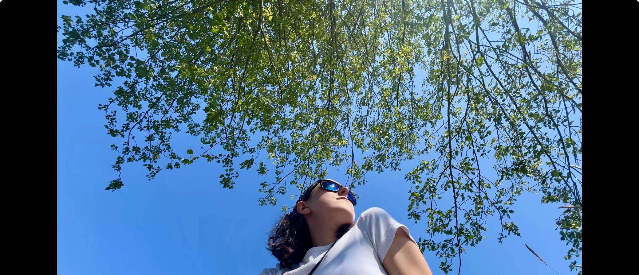 profile