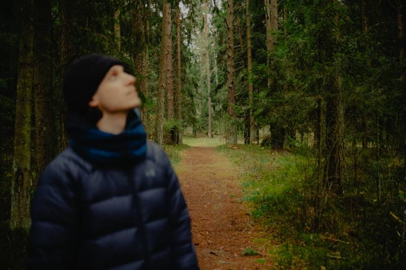 Person walking on a path through a dense forest