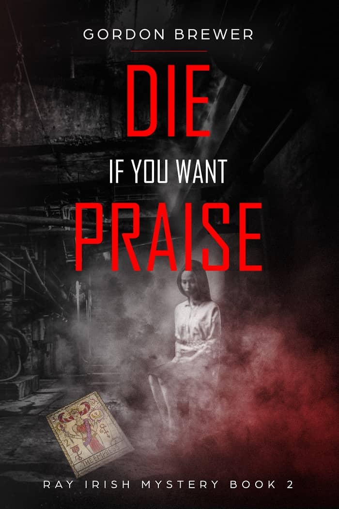 Die If You Want Praise: Ray Irish Mystery 2 eBook