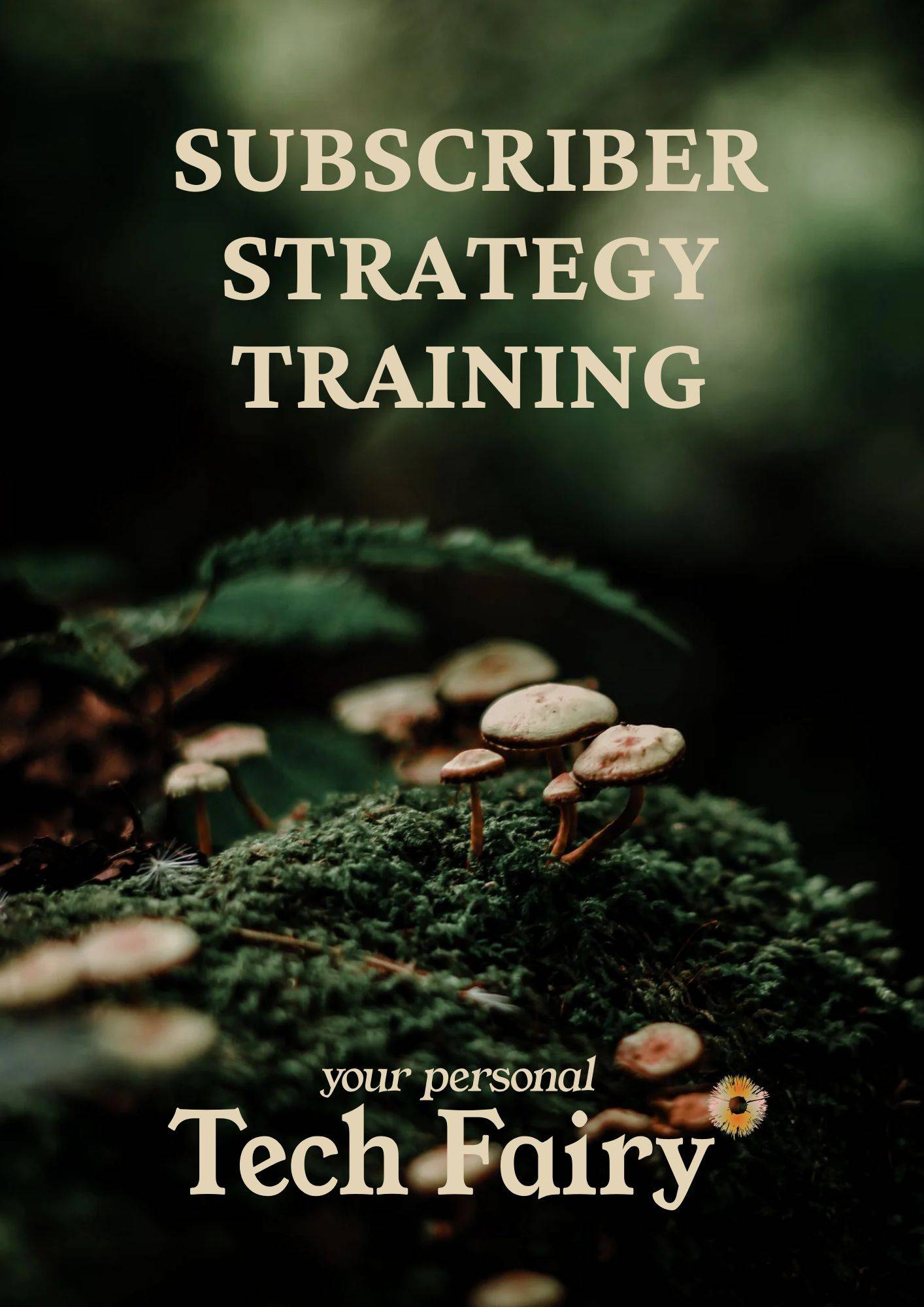 Subscriber Strategy Training