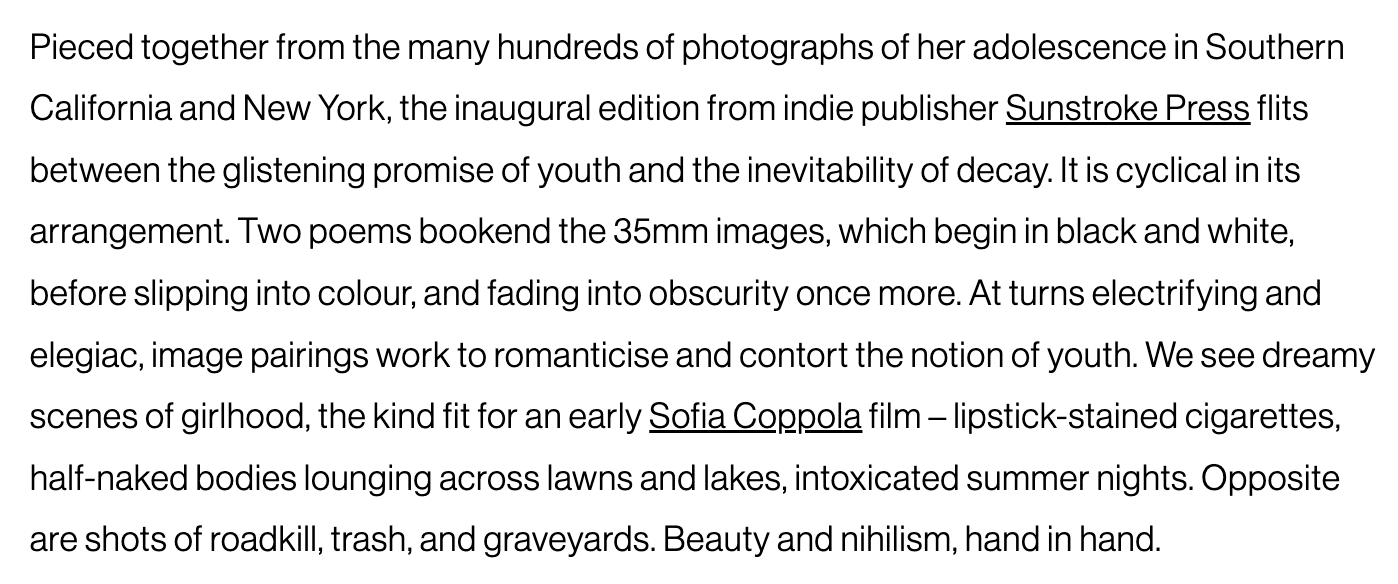 An excerpt of Madeleine Pollard's review of 'Diaries of a Wet Bird' in Dazed.