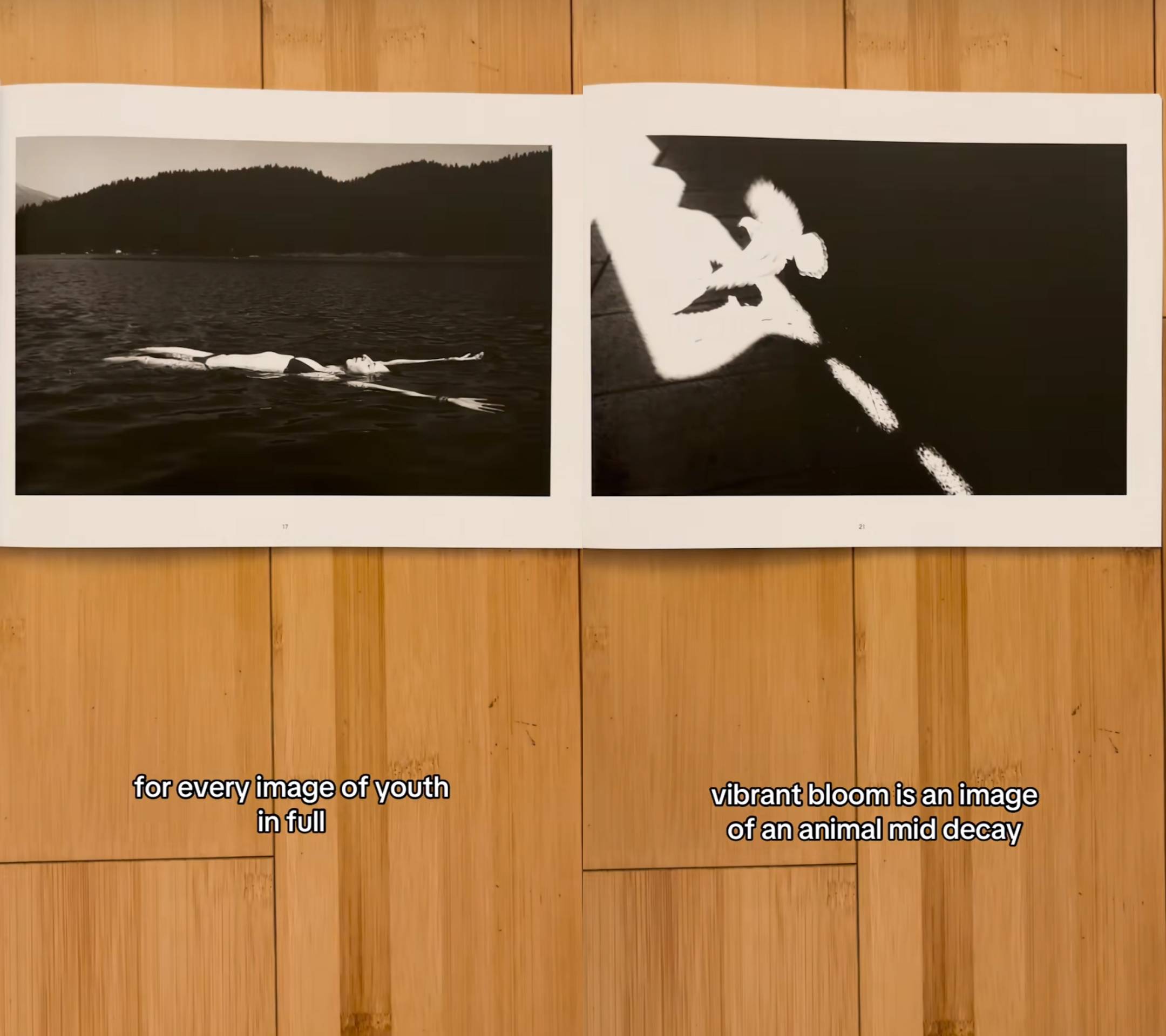 Two screenshots from Danny's Photobook Corner discussing the content of 'Diaries of a Wet Bird'.