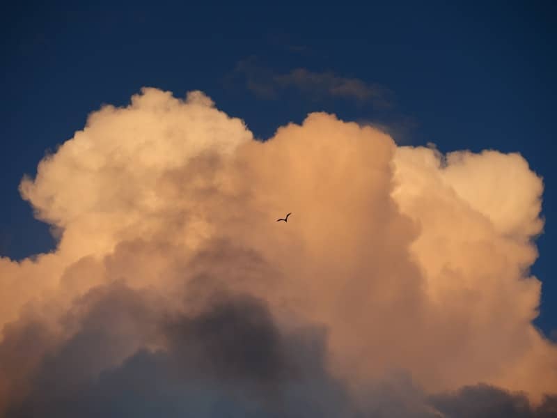 A large cloud with a plane flying in the sky