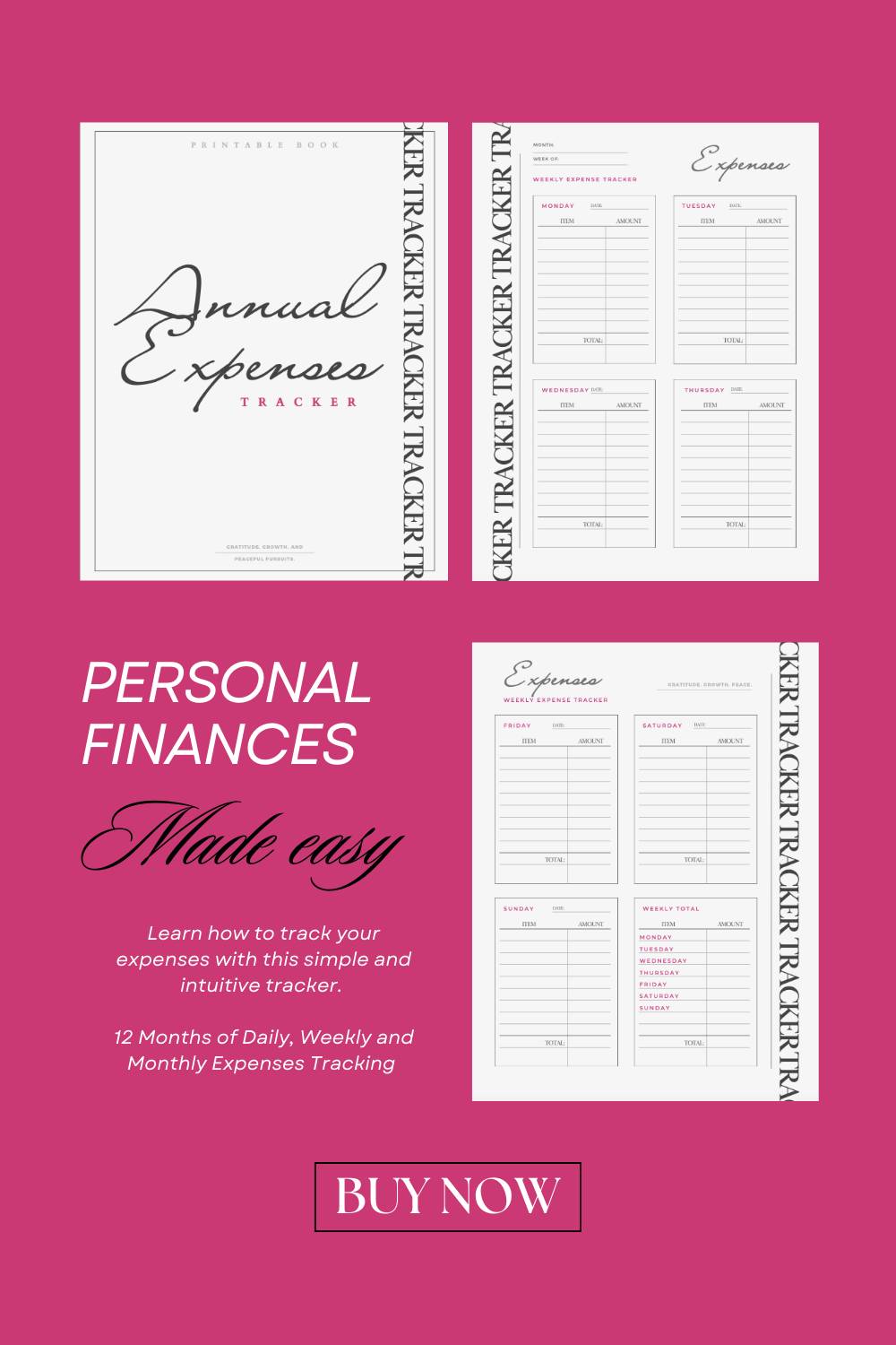 Annual Expenses Tracker (12 Months of Daily, Weekly and Monthly Financial Tracking)