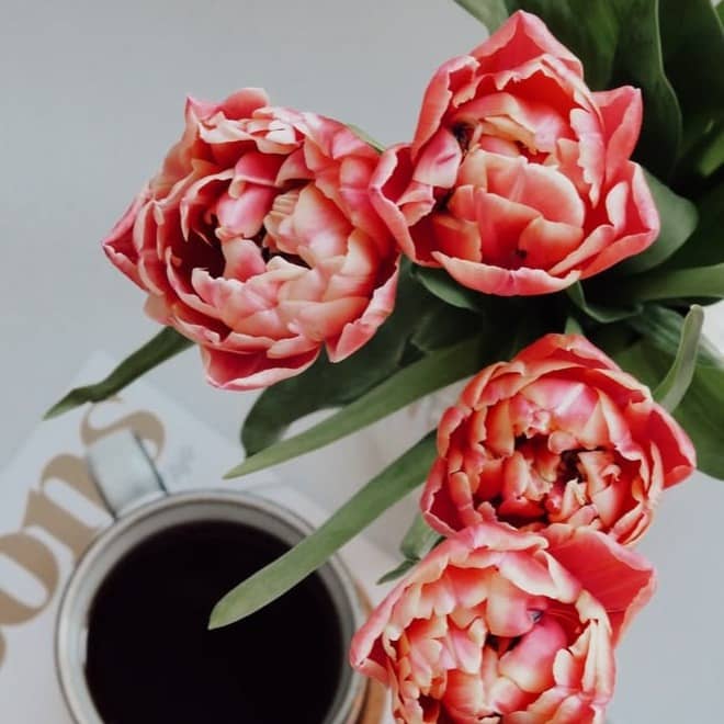 red roses on white and brown heart print table