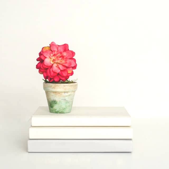 A flower pot sitting on top of a stack of books