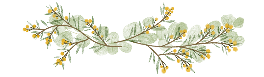 2025 Year in Review for Fred's Tiny Houses