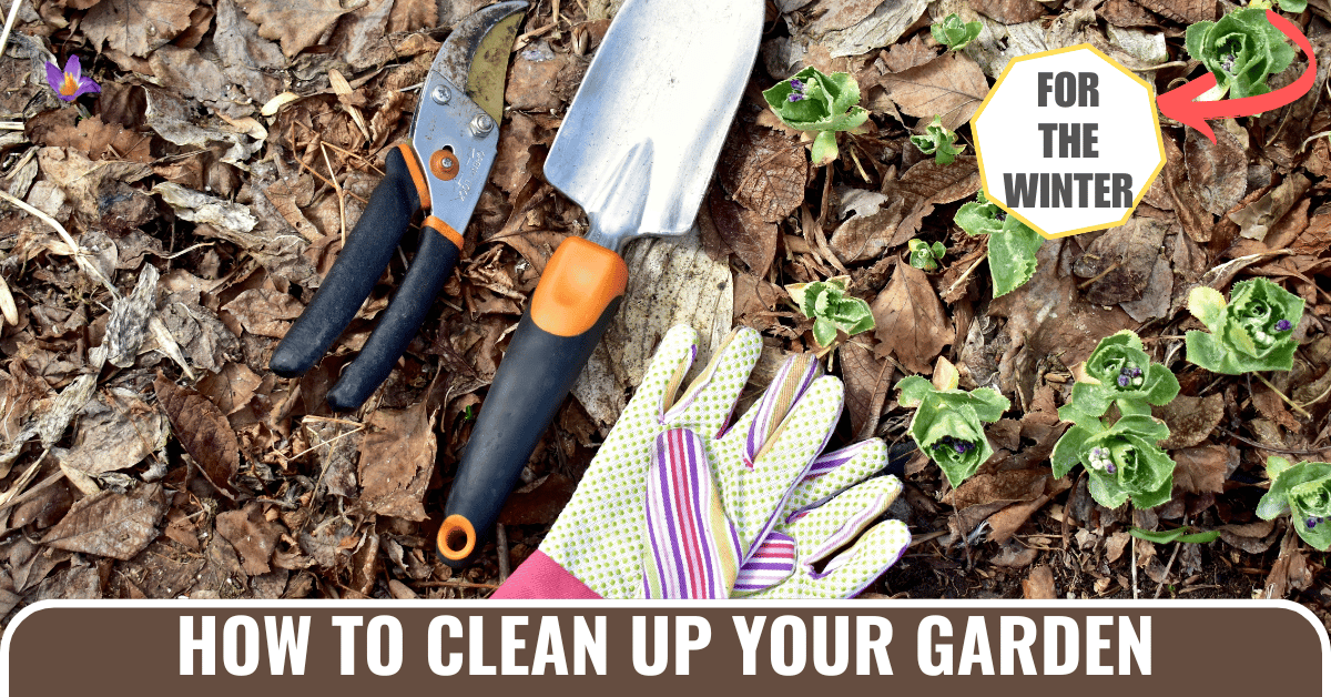 garden clean up