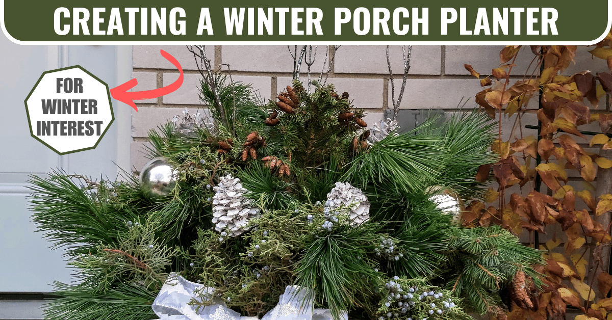 creating a winter porch planter