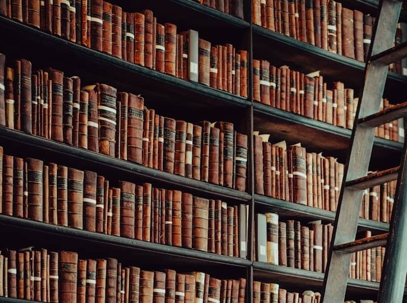 Tall wooden ladder leaning against library bookshelves.