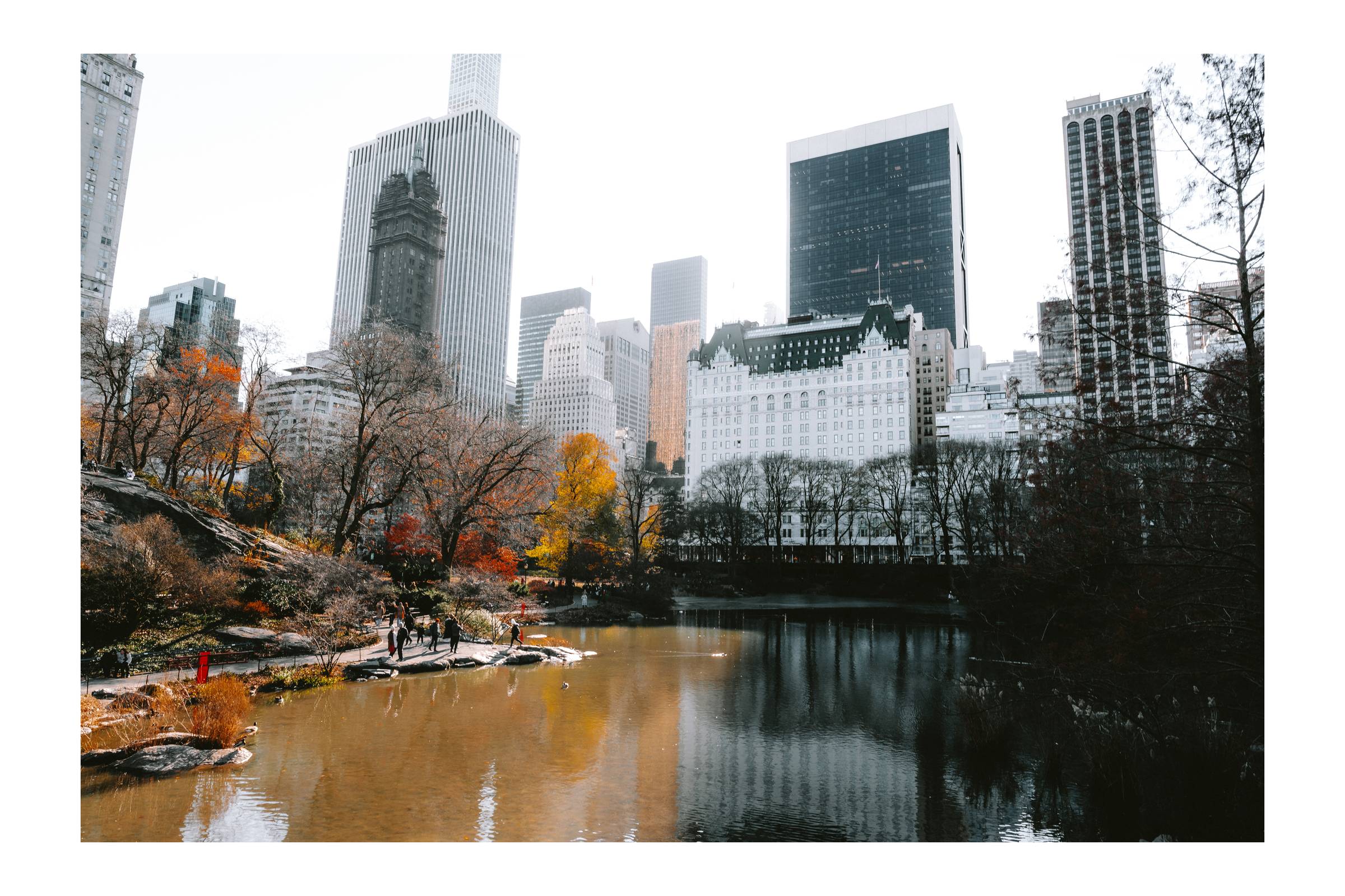 Central Park in Winter - Print
