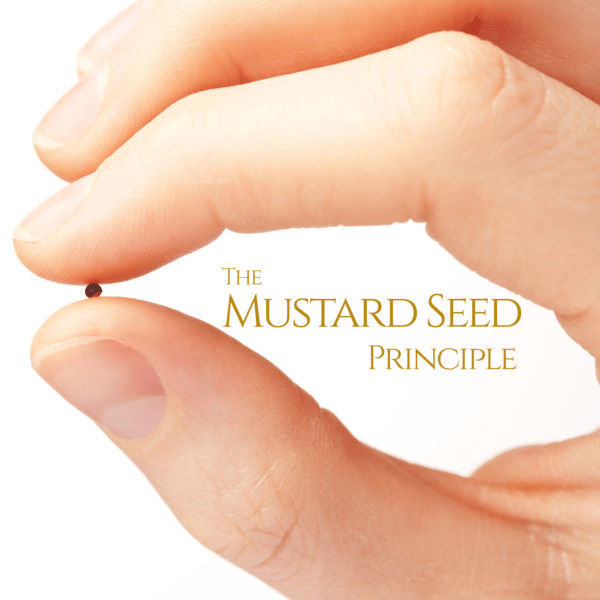 The Mustard Seed and the Market: How Tiny Trades Grow Into Time Freedom