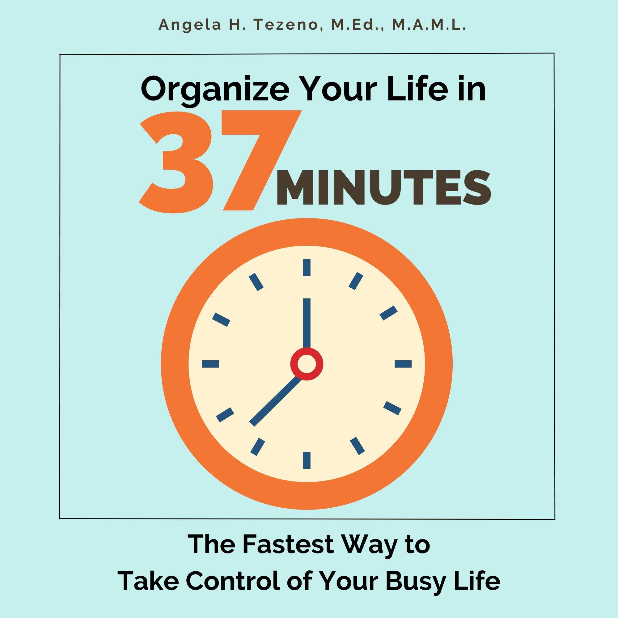 Organize Your Life in 37 Minutes E-Book