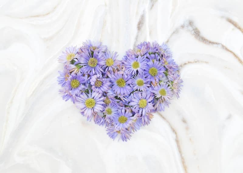 A heart shaped arrangement of daisies on a white background