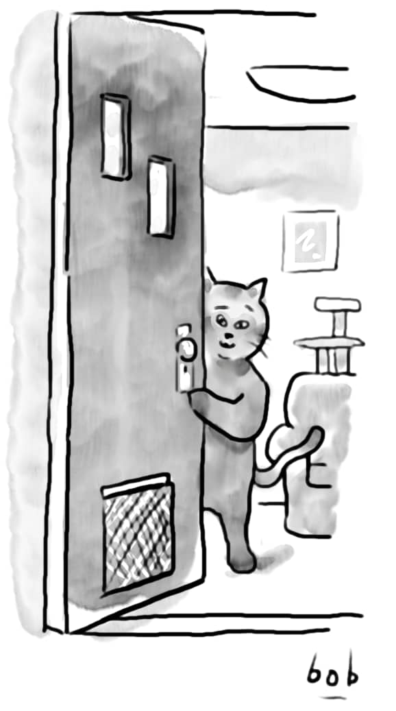 Illustration of cat opening the front door to a home