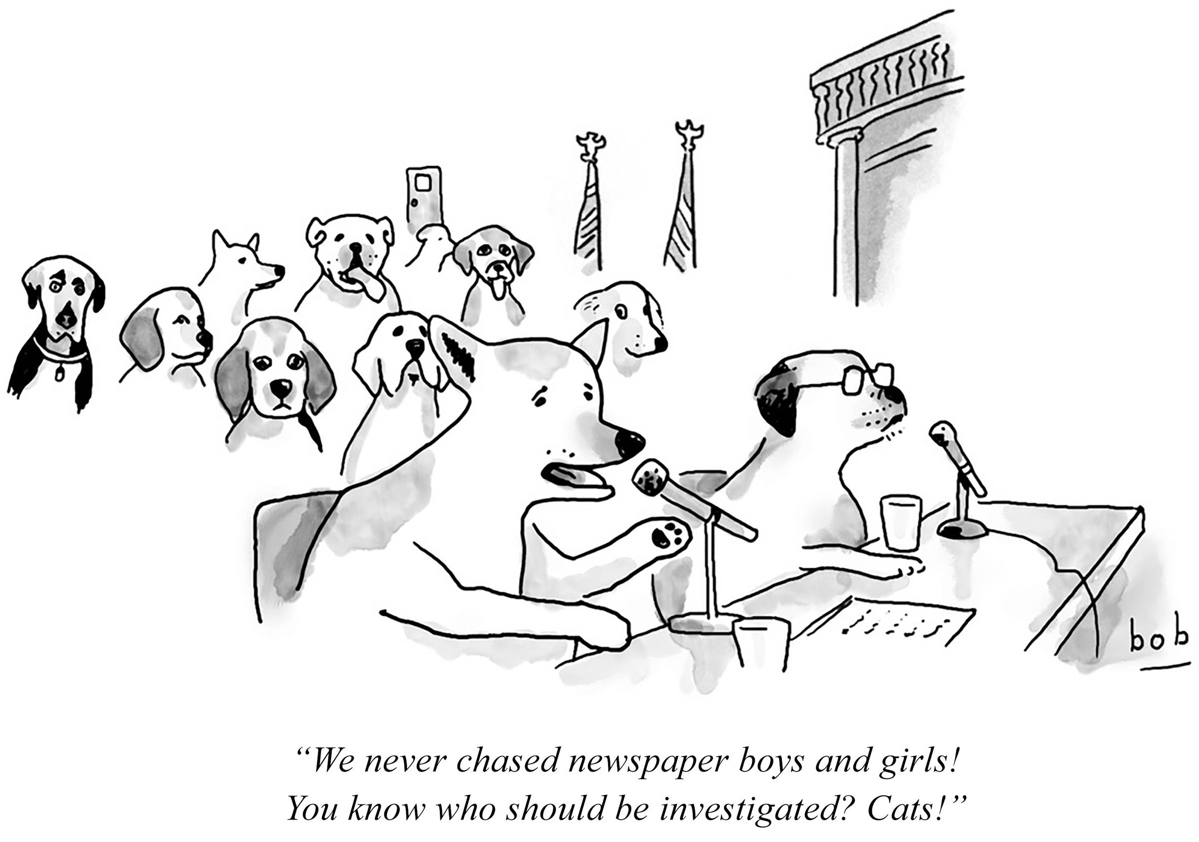 Cartoon by Bob Eckstein. In a courtroom full of dogs, a dog testifies into a microphone, “We never chased newspaper boys and girls! You know who should be investigated? Cats!” 
