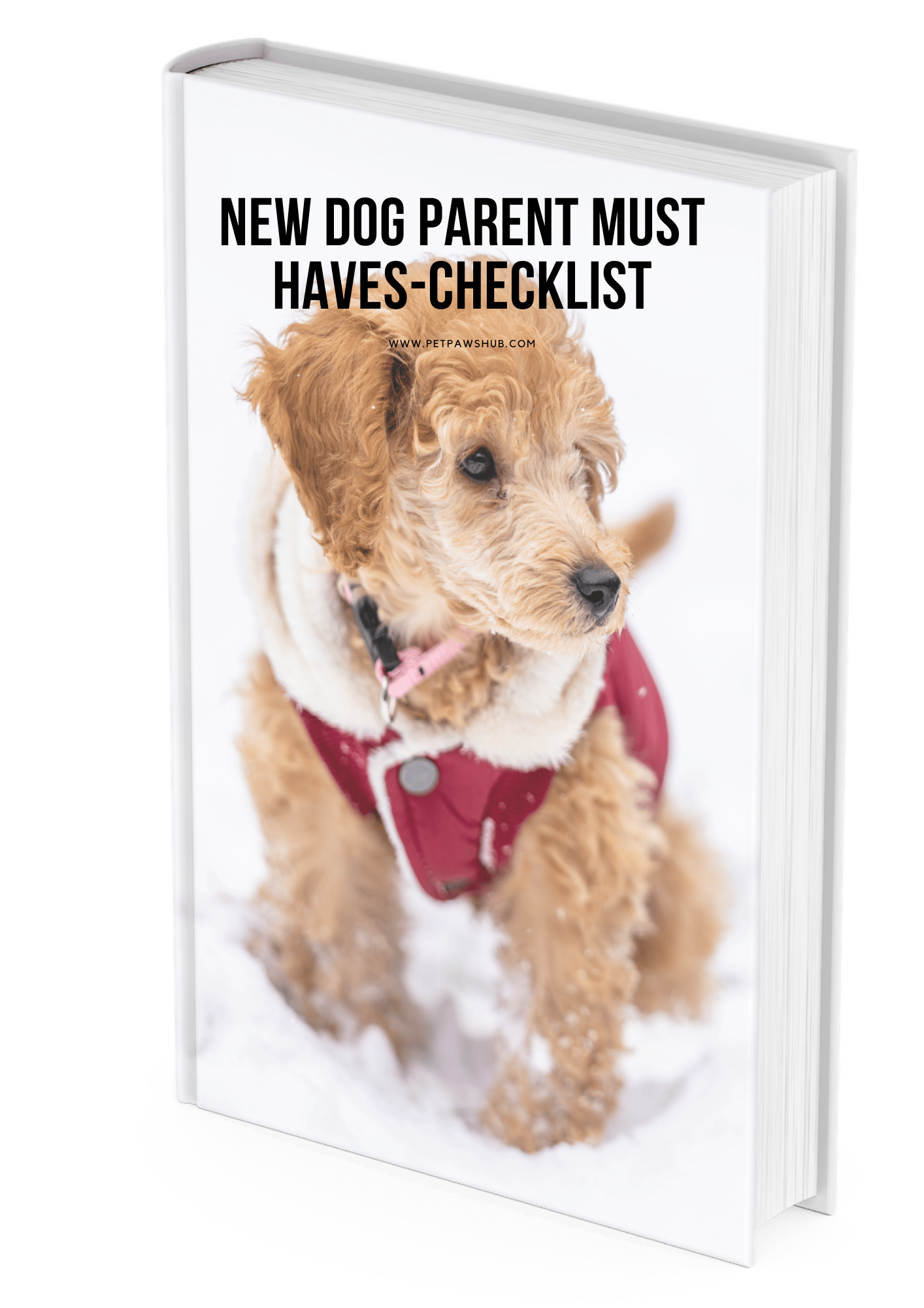 new-puppy-parents-must-haves